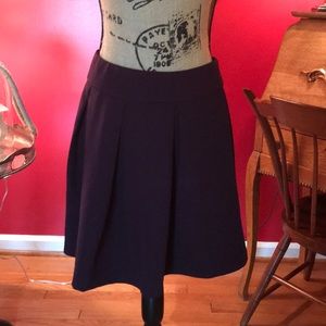 The Limited Purple Skirt